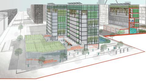 Pruitt Igoe Now Competition - Gray to Green