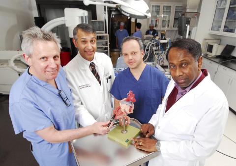 Research Horizons - Med Device - location on a heart model where their heart surgery system attaches