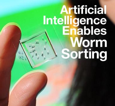 Automated Worm Sorter