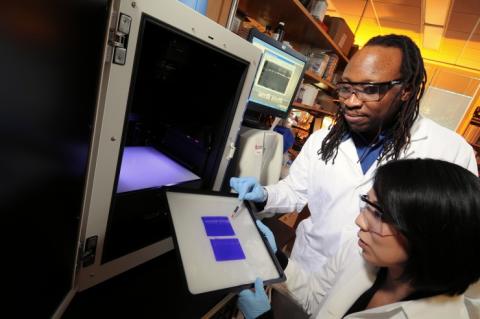 Manu Platt in his lab