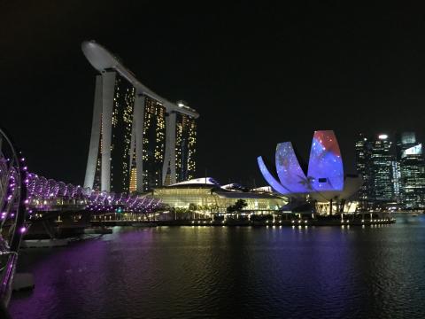 Singapore Workshop 2016