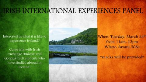 Irish International Experiences Panel