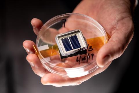 Silicon solar cell held in a hand