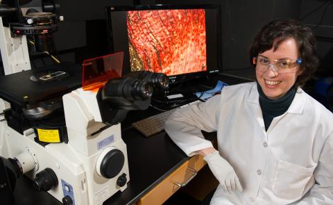 Johnna Temenoff, PhD - Director of GTBioMAT program, associate professor in the Wallace H. Coulter Department of Biomedical Engineering