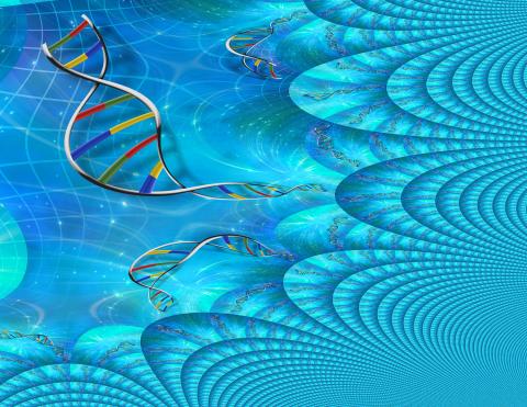 Dna picture