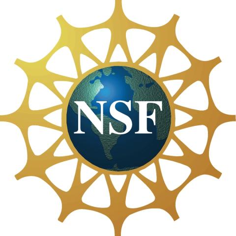 NSF IGERT logo