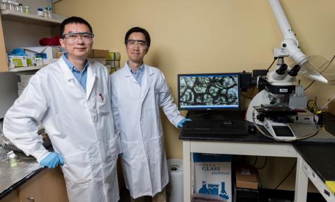 Zhiqun Lin and Ming He in Lin's laboratory