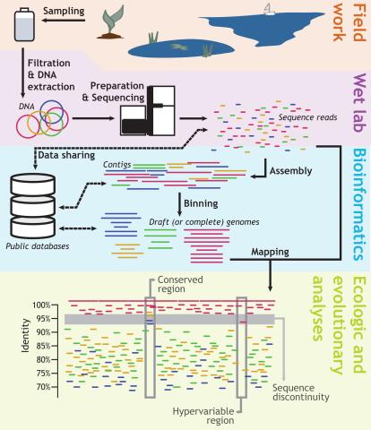 Microbial communities