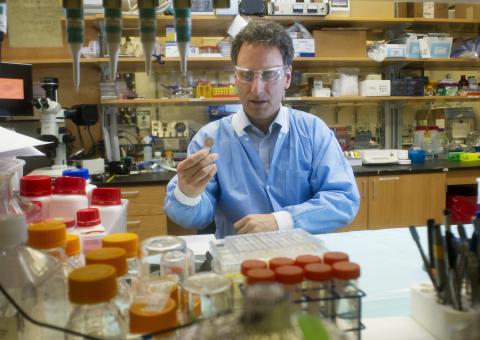 Mark Prausnitz in his laboratory