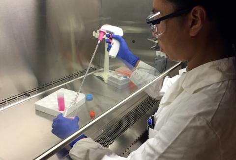 Pancreatic cancer cells and microRNA2