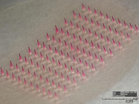 Microneedle with vaccine