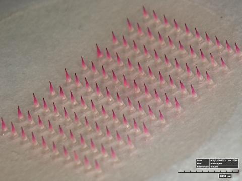 Microneedles with vaccine