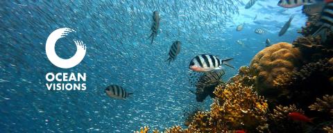 undersea image of fish and coral reef