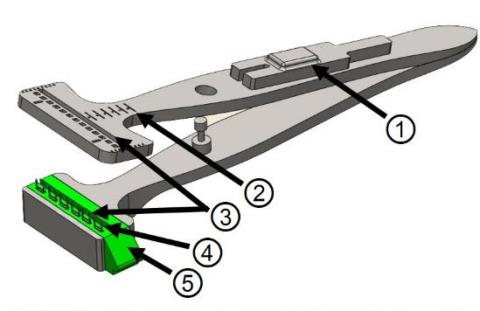 OculoStaple Diagram