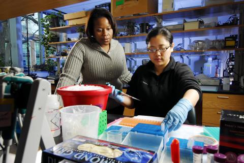 research Horizons - Origins of Cancer - investigate proteins