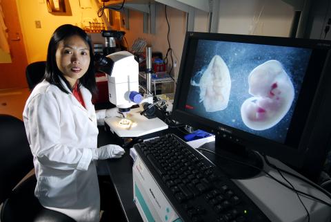 research Horizons - Origins of Cancer - Yuhong Fan