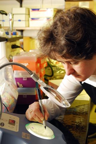 research Horizons - Origins of Cancer - Francesca Storici,