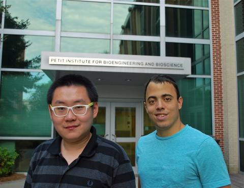 Wang and Mannino