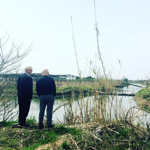 Visiting the site