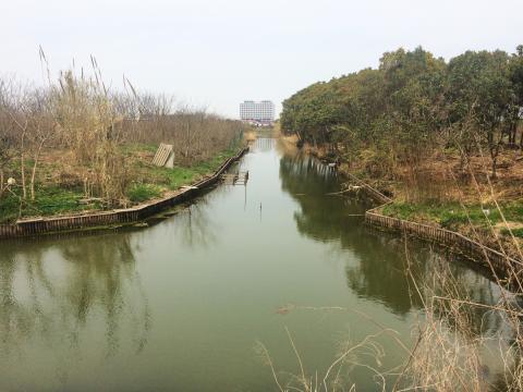 Visiting the site