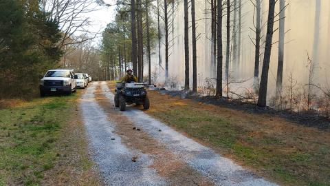 Prescribed Burns
