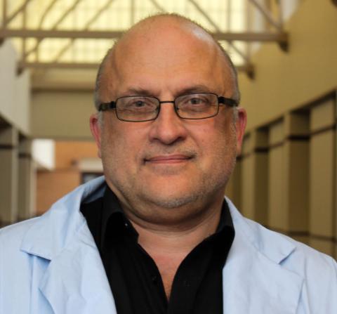 Art Ragauskas, PhD - Professor, School of Chemistry & Bioschemistry, Georgia Tech