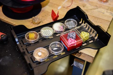 3-D printing using biopolymer materials