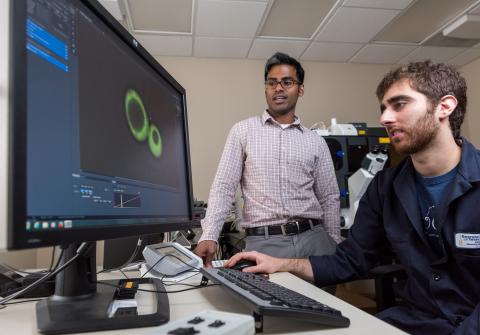 Heme tracking scientists make 'Green Lantern' type sensor
