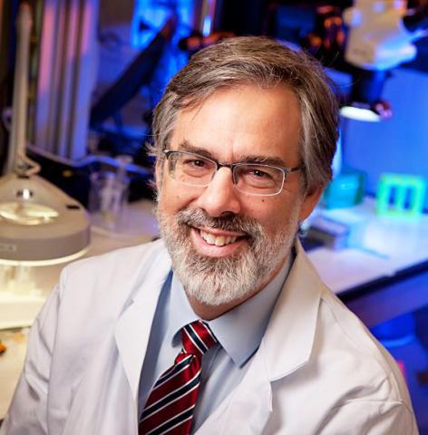 C. Ross Ethier, Professor, Georgia Research Alliance Lawrence L. Gellerstedt, Jr. Eminent Scholar in Bioengineering