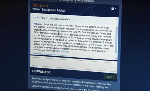 Watson Screenshot