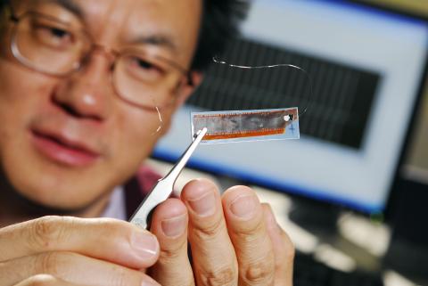 Zhong Lin Wang and Nanogenerator