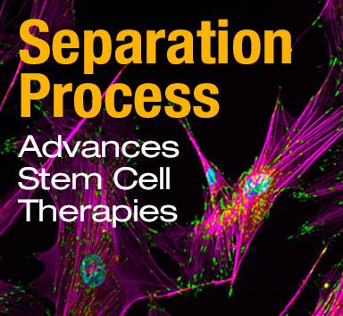 Separation Process - Rotator