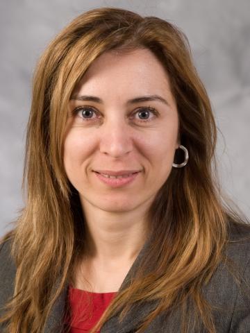 Nicoleta Serban, ISyE Coca-Cola Associate Professor