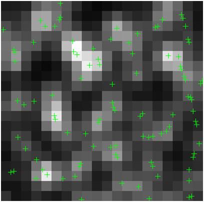 Single Molecule Identification