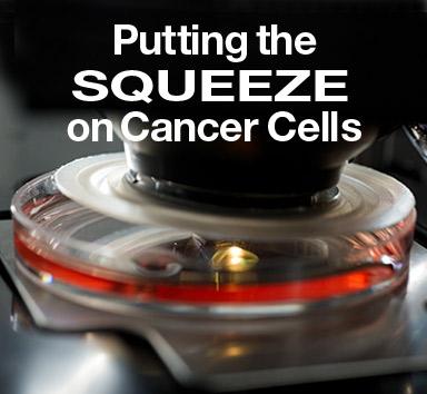 Squeeze on Cancer image
