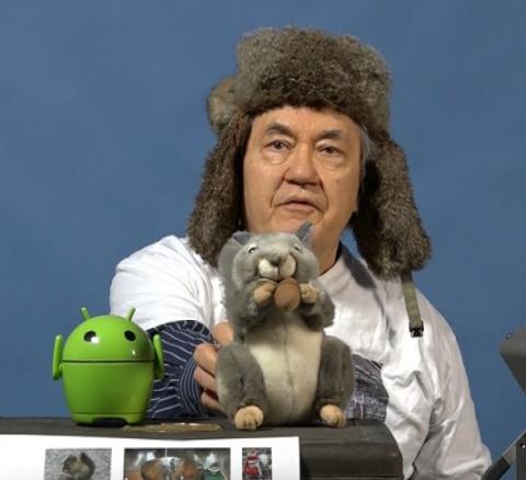 Squirrel Transformer