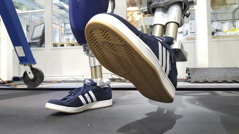 Stepping with shoe