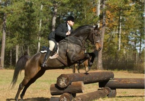 Deutschler and one of his many hobbies: a passionate equestrian