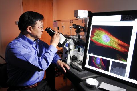 Research Horizons - Tech & Emory - Gang Bao