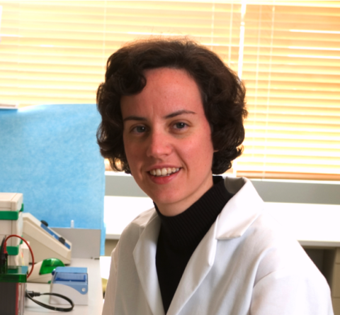 Johnna Temenoff, PhD - Co-director of GTBioMAT program, associate professor in the Wallace H. Coulter Department of Biomedical Engineering