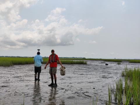 Michael Hodges and Joel Kostka walk in the muddy marsh on wood planks with equipment used to determine marsh elevation. Marsh grass can be see in the background surrounding expansive mud flats.