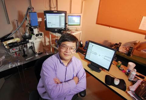 Prof. Cheng Zhu in research lab