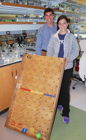 Plinko pair