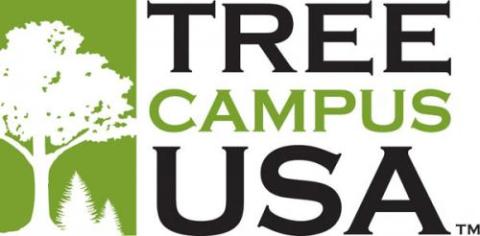 Tree Campus USA
