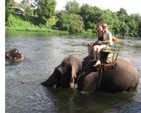 Riding elephants near Bangkok, Thailand.