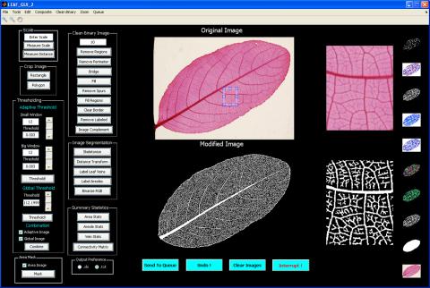 LEAF GUI screenshot