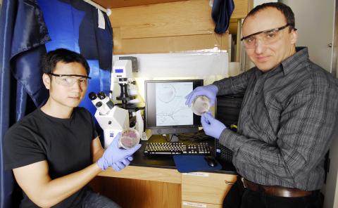 Konstantinidis & Luo