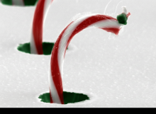 Close-up of red-and-white candy canes standing upright in white foam, with green tips visible at the base. The shallow depth of field blurs the background, emphasizing the curved stripes and texture.