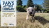 Paws April 27