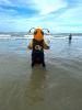 Buzz takes a swim in the ocean with his national championship trophy
